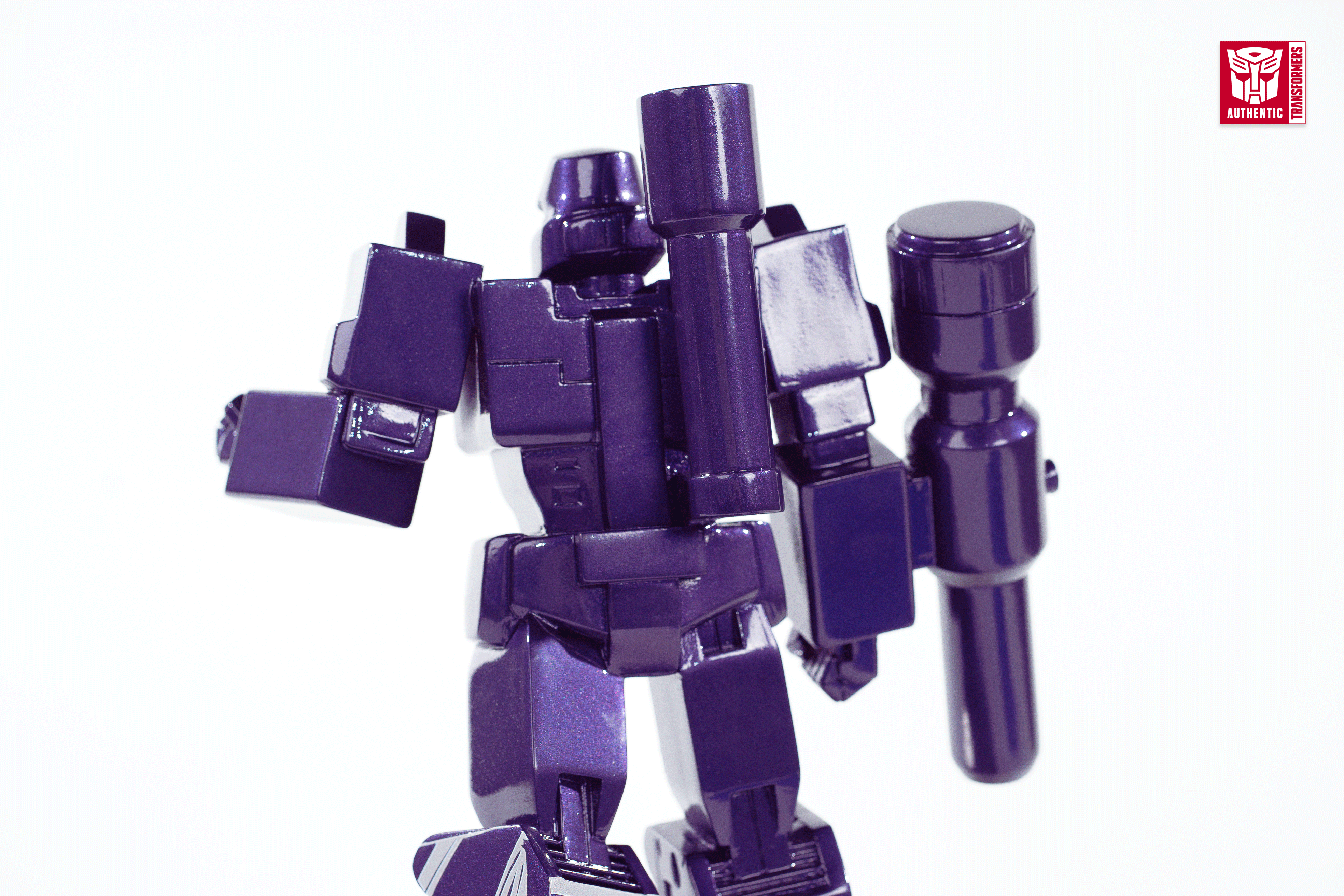 Megatron back zoomed